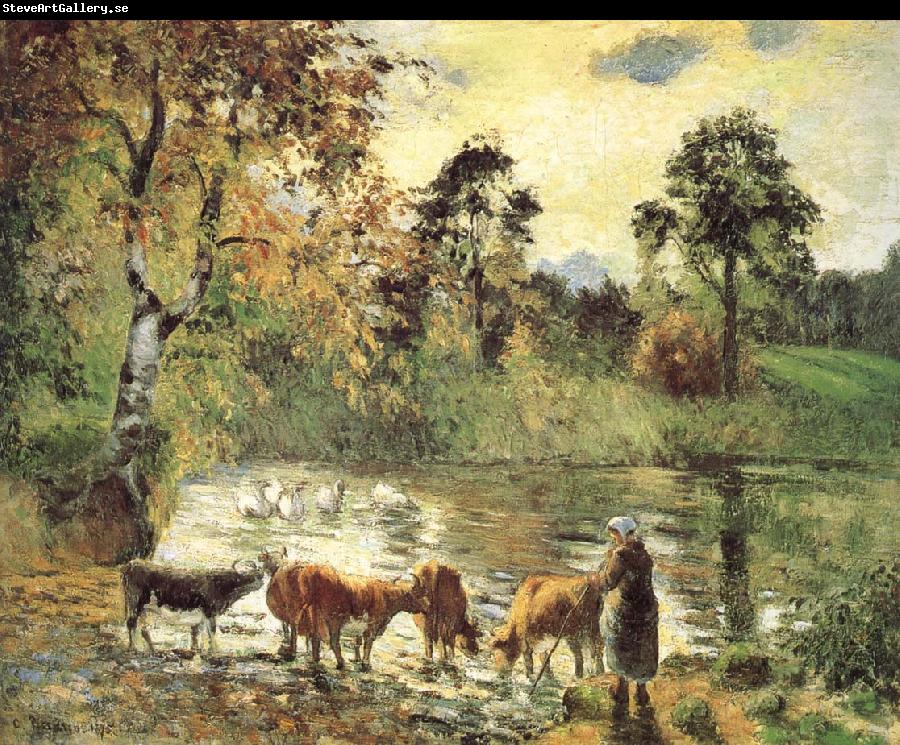 Camille Pissarro Montreal luck construction pond
